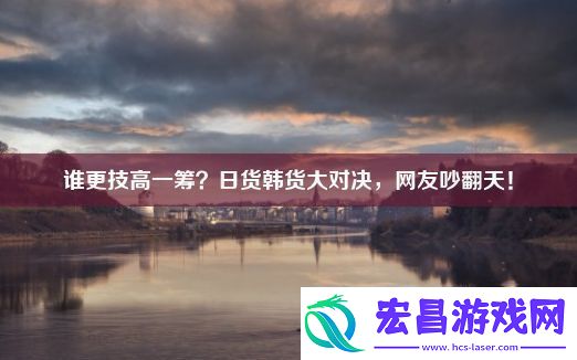 谁更技高一筹日货韩货大对决网友吵翻天！