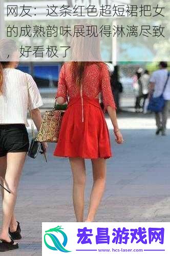 网友