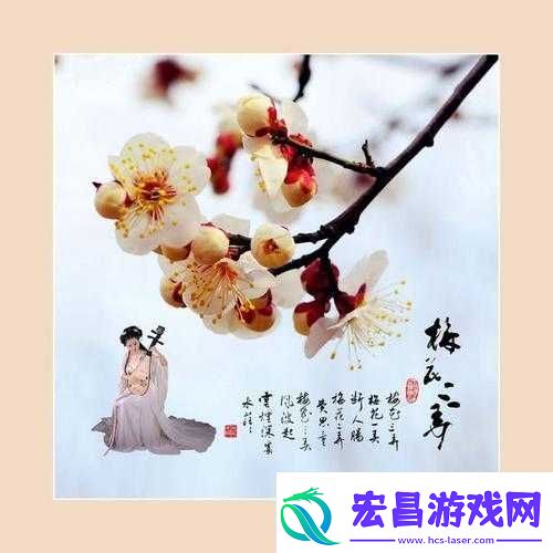 男女之间梅花三弄