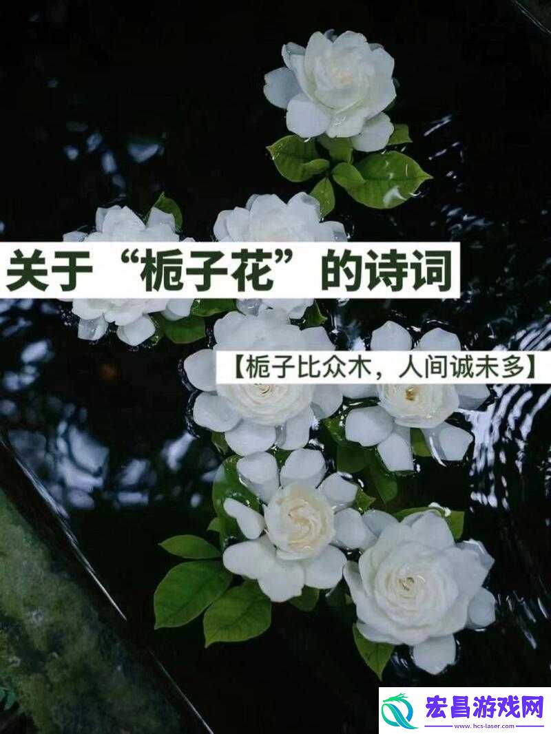 搭伙