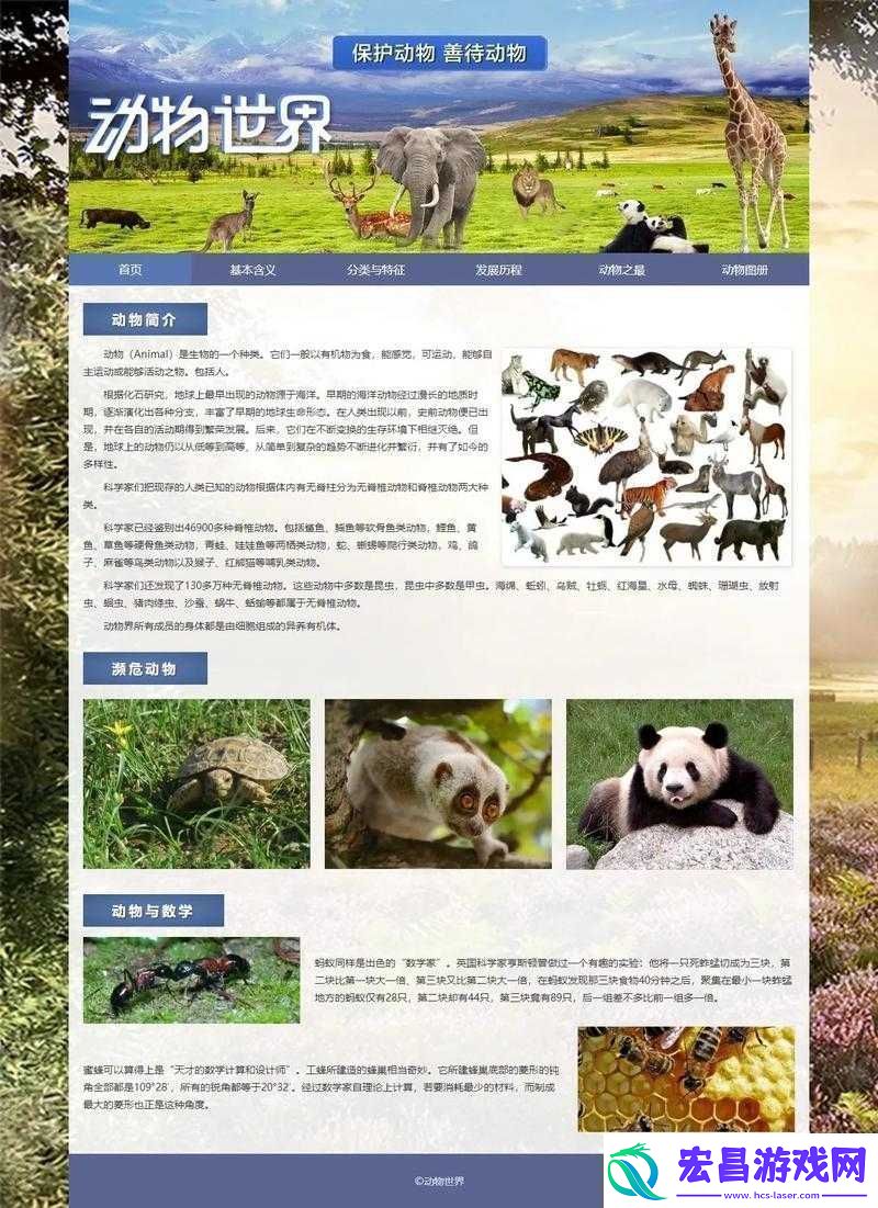 成品站入口页版怎样打开之方法解析