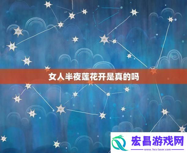 夜半莲花创新绽放