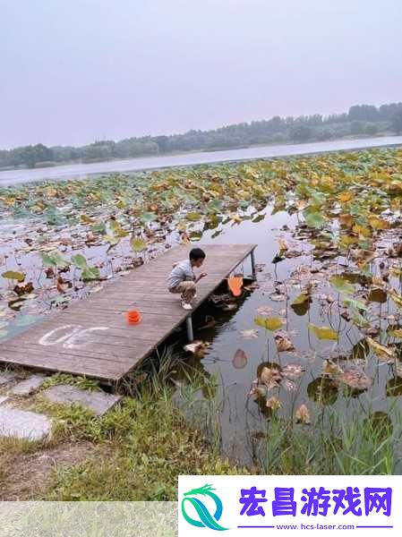 揭秘99无人区码一码二码三1080p不再是梦