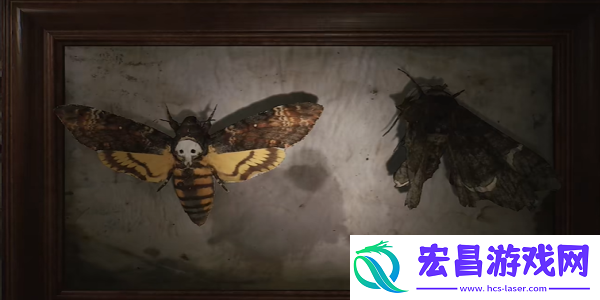 寂静岭2重制版202蛾子房间密码锁怎么开