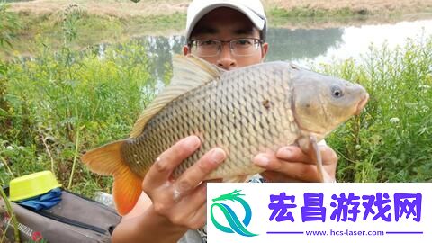 烟雨江湖鲤鱼钓点攻略