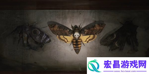 寂静岭2重制版202蛾子房间密码锁怎么开