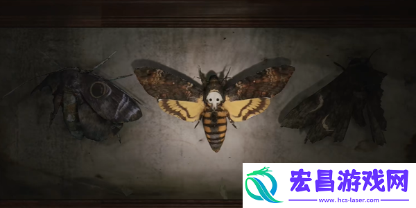 寂静岭2重制版202蛾子房间密码锁怎么开