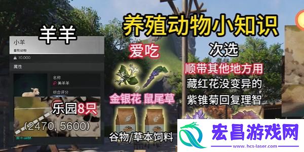 七日世界养殖什么动物好