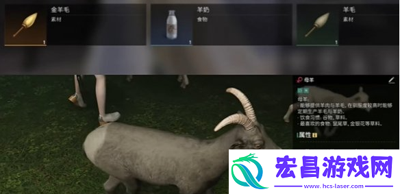 七日世界金羊毛如何获取