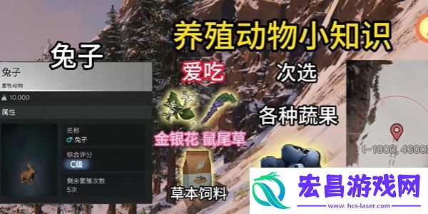 七日世界养殖什么动物好