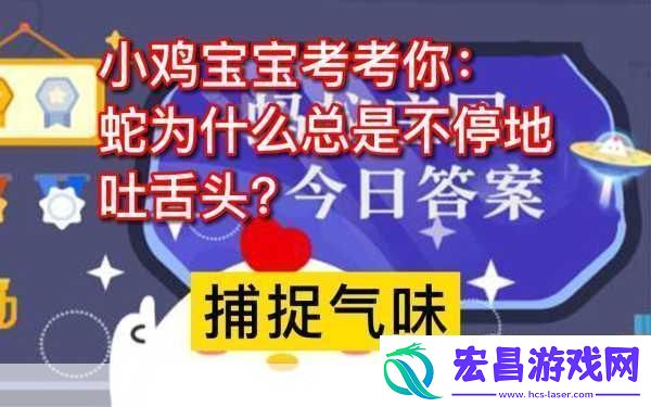 小鸡宝宝考考你