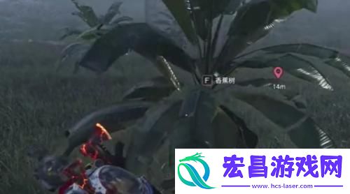 七日世界香蕉怎么获取