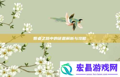 智者之路中的谜题解析与攻略