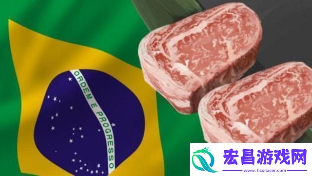 猪起风云巴西狂想