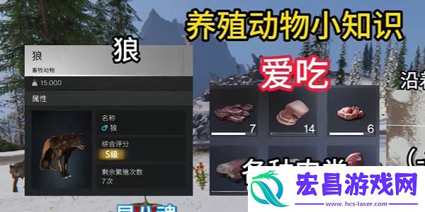 七日世界养殖什么动物好