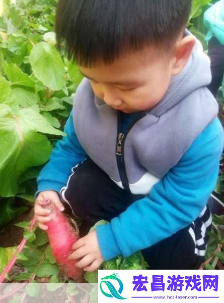双人床上拔萝卜无遮挡