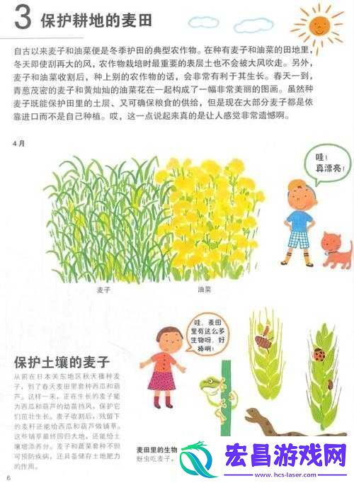 兄弟换麦子