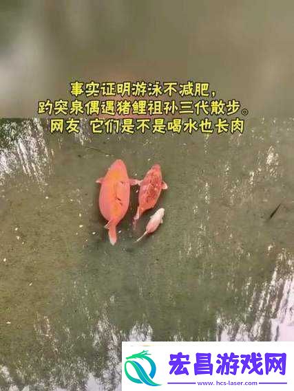 女人鲤鱼喝水图解大全之详细解析