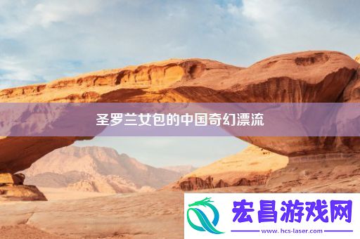 圣罗兰女包的中国奇幻漂流