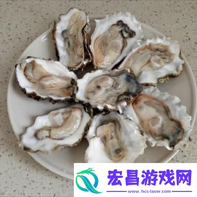 我的收纳摊生蚝自由通关攻略