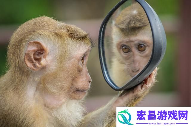 创意镜像