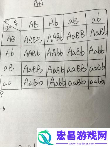 AABB与AAAA的差异