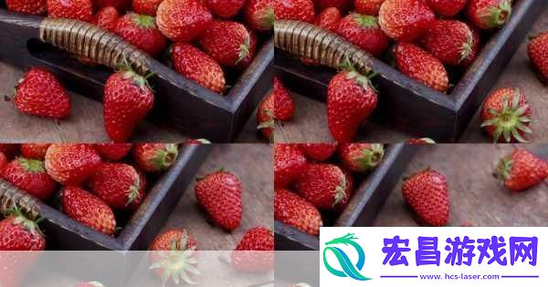 草莓视频官方色