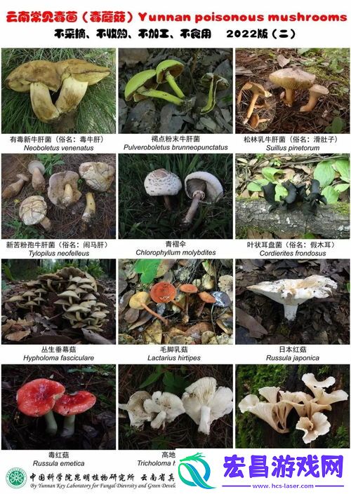 一家六口扫墓后误食致命毒草