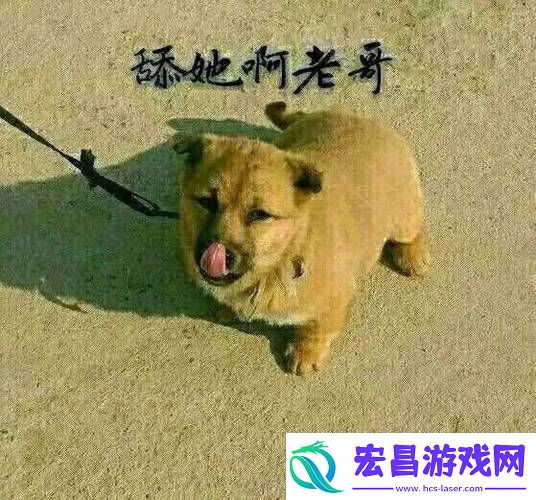 欲望之夜
