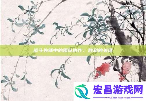 战斗先锋中的团队协作