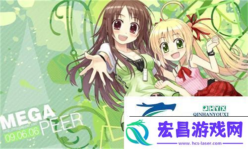 中国高清windows视频软件的多样选择与用户反馈