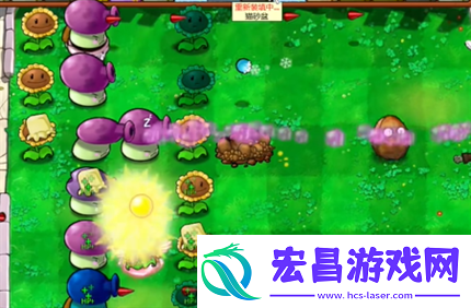 pvz杂交版英雄模式公主驾到通关详解