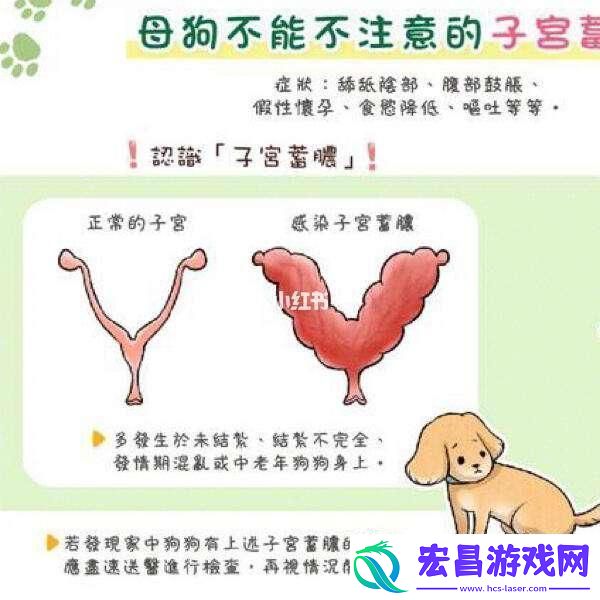 狗**「困局」