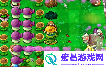 pvz杂交版英雄模式公主驾到通关详解