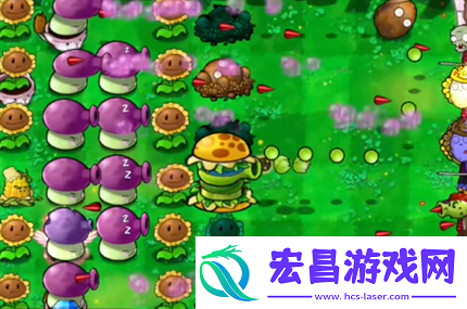 pvz杂交版英雄模式公主驾到通关详解