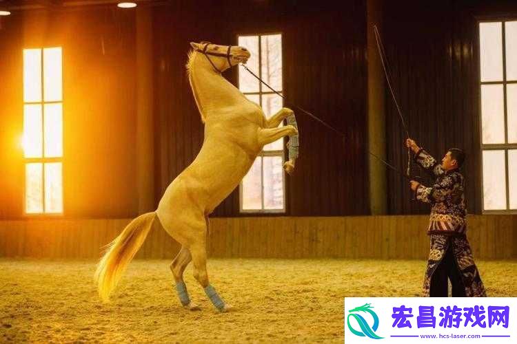 人马畜禽company