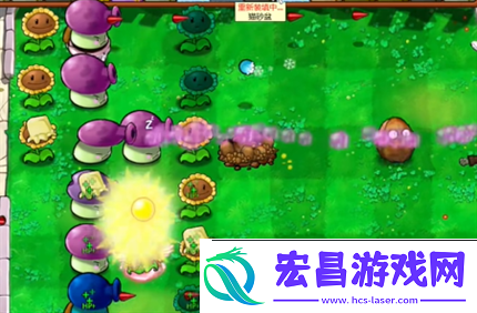 pvz杂交版英雄模式公主驾到通关详解
