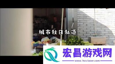 老镖客城中村扫街83939