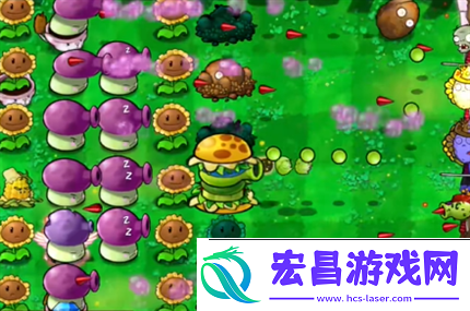 pvz杂交版英雄模式公主驾到通关详解