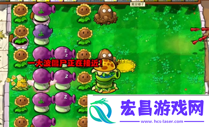 pvz杂交版英雄模式公主驾到通关详解