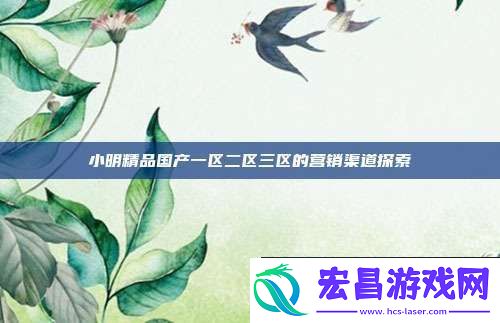 小明精品国产一区二区三区的营销渠道探索
