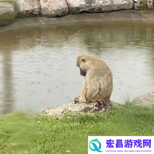 黑客为什么看不懂我的密码