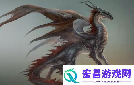 龙系长相是什么梗络用语