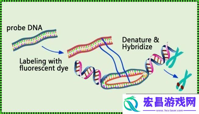 “RNA探戈”狂热舞动