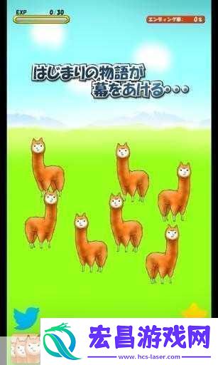 深度解析***兄贵