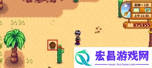 星露谷物语椰子获取攻略