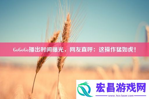 GoGoGo播出时间曝光