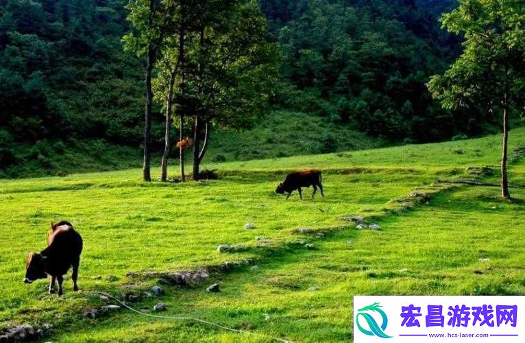 伊春园一路二路三路入口