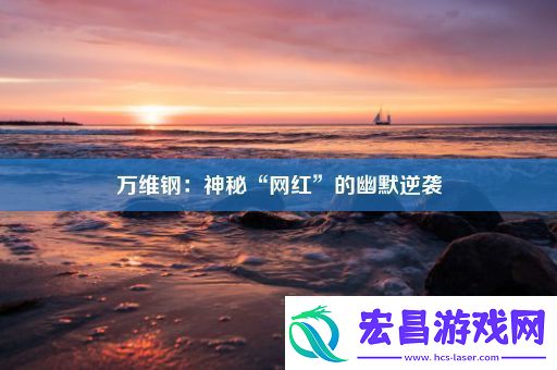 万维钢