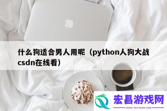 码农狂欢狗斗盛况